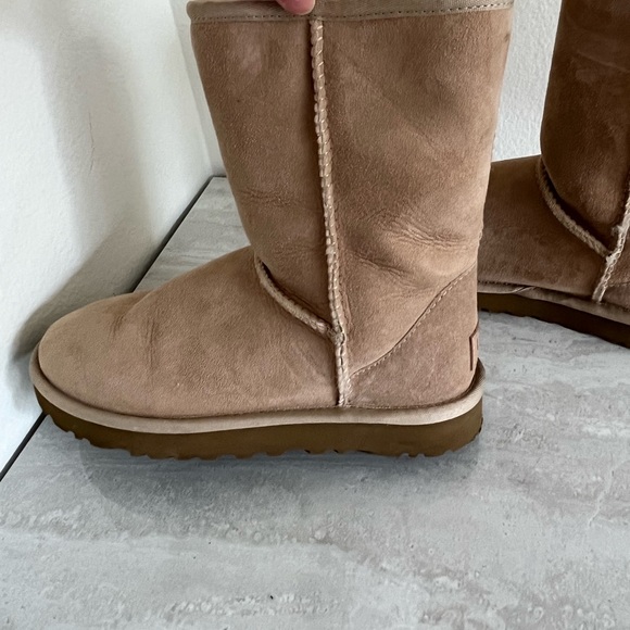Stone/Bone Color Mid Calf Uggs - Picture 11 of 11